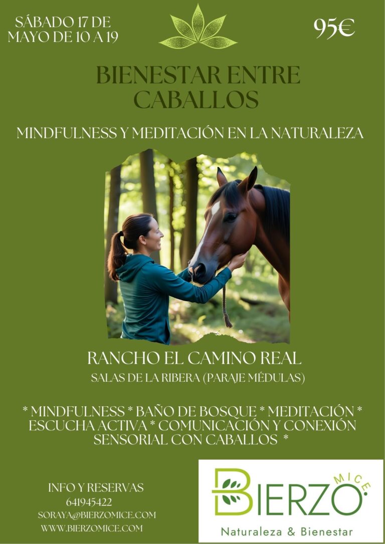 Bienestar entre caballos en Las Médulas
