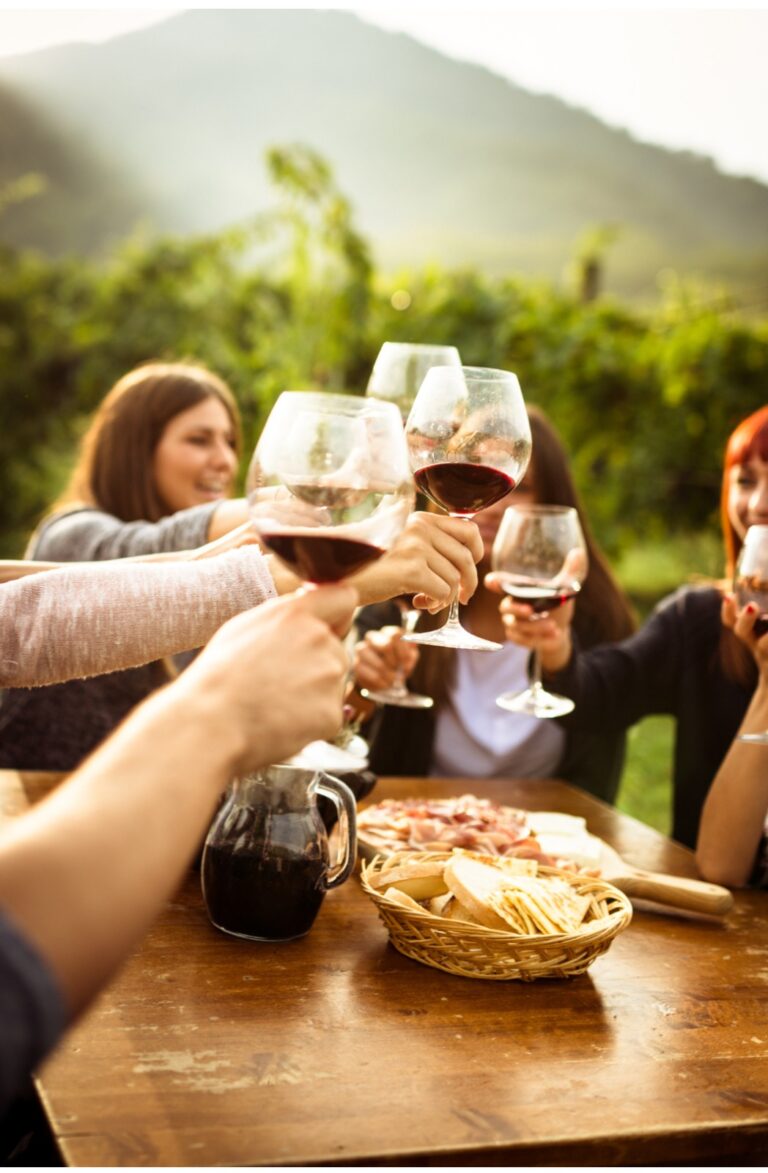 Reserva ya !! Baño de Viñedo + Cata de Vinos                                                      Viernes 18 DE JULIO Y  1 DE AGOSTO 2025
